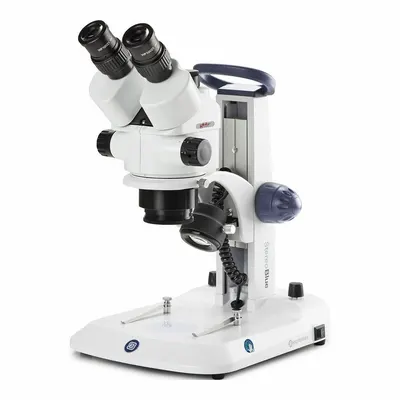 GLOBE SCIENTIFIC Microscope: Stereo, Binocular, 7X to 45X, 29.9 mm Optical Field of View - Stereo Microscopes