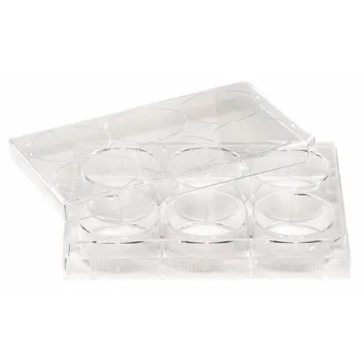 CELLTREAT 6-Well Cell Culture Plate - Cell Culture Plates