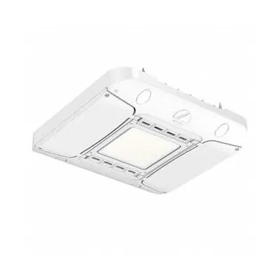 LITHONIA LIGHTING Canopy Light: LED - LED Standard Parking Garage & Canopy Lights