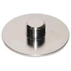 Stainless steel center disk for diaphragm assemblies. Used as a replacement component in industrial pumps, valves, and process equipment to separate fluids or transmit pressure.