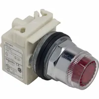 SCHNEIDER Illuminated Push Button: Illuminated, Flush Profile, Non-Metallic, 30 mm, 1NO/1NC (MPN 9001K1L35R)