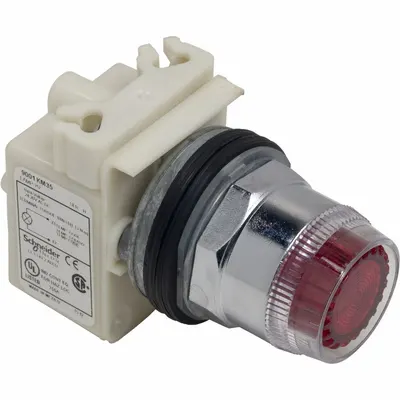 SCHNEIDER Illuminated Push Button: Illuminated, Flush Profile, Non-Metallic, 30 mm - Illuminated Flush-Mount Push Buttons