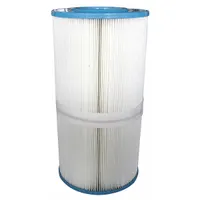 DAYTON Filter Cartridge: For Use With 4VMN4, 2 in Connection Size