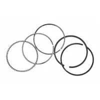 Ring Set, 4 Cycle (MPN 26608G01)