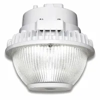 Canopy Light: LED, 5,040 lm, 5000K, 56 W Fixture Watt, 120 to 277V AC, Type V, White (MPN EG2R0A5PS5011WHTE)