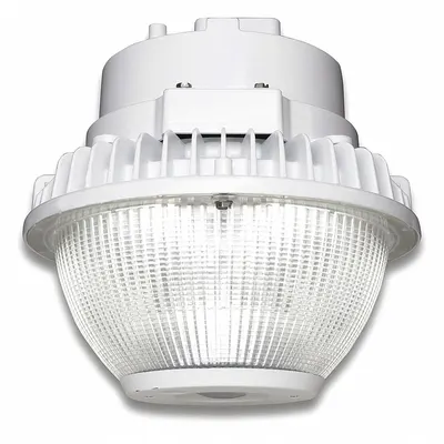EVOLVE Canopy Light: LED, 5,040 lm, 5000K, 56 W Fixture Watt, 120 to 277V AC, Type V - LED Standard Parking Garage & Canopy Lights