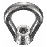 Eye Nut: 5/8"-11 Thread, Stainless Steel, Plain, Oval, 1 1/2 in Inside Dia, 2 1/2 in Outside Dia (MPN EN-7-316SS)