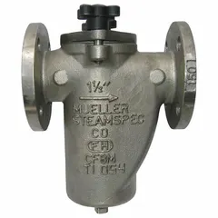 Single-basket strainer with 3/4 in NPT connection, 304 stainless steel screen (0.062 in mesh), and fluoroelastomer gasket. Used in fuel oil systems to filter debris and protect downstream equipment such as pumps and valves.