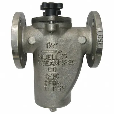 MUELLER STEAM SPECIALTY 2 125F SS Basket Strainer - Stainless Steel Basket Strainers