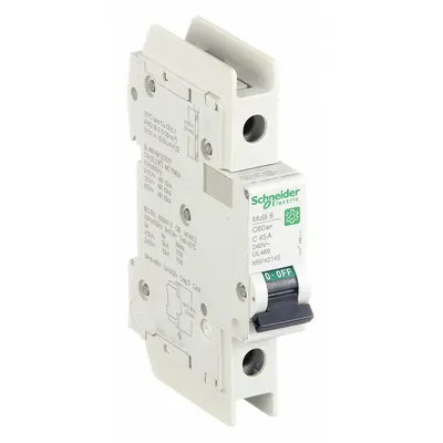SCHNEIDER Miniature Circuit Breaker: 45 A Amps, 60V DC, 14kA at 120/240V AC - C-Curve, 1-Pole UL489 DIN Rail-Mount Miniature Circuit Breakers
