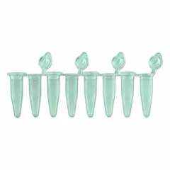 PCR Strip Tubes, 0.2 mL, Polypropylene, Green, Conical Bottom, Attached Flat Caps