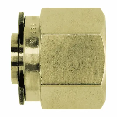 BRENNAN INDUSTRIES Compression Fitting Plug: 1/8 in OD Size, Tube - Clean & Bagged Double-Ferrule Brass Compression Fittings