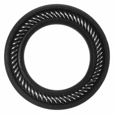 USA INDUSTRIALS Spring Energized Rod Seal: Graphite-Filled PTFE, 0.487 in Inside Dia - Graphite-Filled PTFE Spring-Energized Seals