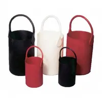 Bottle Carrier: 10 in Overall Lg, 4 1/2 in Overall Wd, 10 in Overall Ht, Thermoplastic, Red (MPN B-100-1)