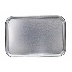Rectangular Stainless Steel Lab Tray, 7.08 L, 17 in Overall Length