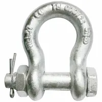 APPROVED VENDOR Anchor Shackle: Anchor Shackle, 10,000 lb Working Load Limit, Alloy Steel, Silver (MPN 55AY33)