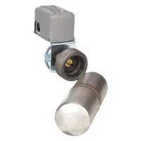 TELEMECANIQUE SENSORS Liquid Level Switch: Open On Rise, DPST-2NO, Steel (MPN 9037HG33R)