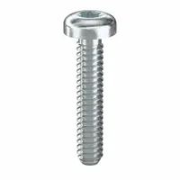 Machine Screw: #10-24 Thread Size, 1 in Lg, Steel, Zinc-Plated, Pan, Torx®/Star, 100 PK (MPN 480760)