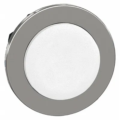 SCHNEIDER Extended Push Button: 30 mm Mounting Size, Metallic - Extended-Length Push-Button Operators