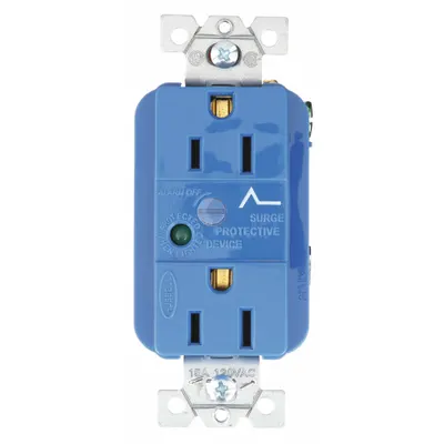 BRYANT Receptacle: Duplex, 5-15, Blue, 125V AC, 15 A, 2 Pole / 3 Wire (MPN SP52A) - General Purpose Receptacles