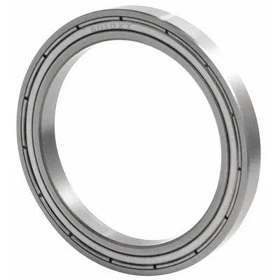 TRITAN Radial Ball Bearing: 61905/6905, Double Shielded, 25 mm Bore Dia, 42 mm Outside Dia - Food-Grade Thin-Section Bearings