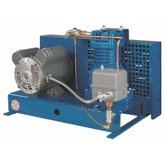 This tankless, single-stage stationary electric air compressor delivers 3.8 cfm at 40 psi. It operates on 120V AC or 240V AC and includes a pressure gauge. Designed for maintaining air pressure in dry-pipe fire sprinkler systems in commercial and industrial buildings.
