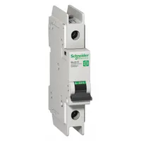 SCHNEIDER ELECTRIC IEC Miniature Circuit Breaker: 8 A Amps, 60V DC, 14kA at 120/240V AC, Screw Clamp (MPN M9F42108)