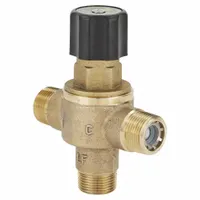 LEONARD VALVE Thermostatic Mixing Valve: 3/4 in Inlet Connection Size, 3/4 in Outlet Connection Size (MPN 369-LF)