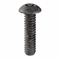 Button head tamper-resistant machine screw with #10-24 thread, 3/4 in length, steel construction, black oxide finish, and T25 drive size. Supplied in a 25-piece pack. Used in security-sensitive applications to secure panels, enclosures, and equipment where standard screws are vulnerable to removal