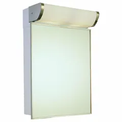 This wall-mounted mirrored medicine cabinet features a glass mirror and a stainless steel frame with a bright annealed silver finish. Integrated lighting is included. Overall height is 23 5/8 inches and overall width is 16 inches. Suitable for bathroom or vanity installations requiring a lighted mirror and storage.