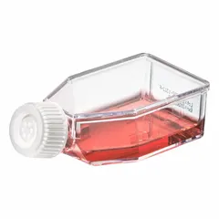 APPROVED VENDOR Plastic Cell Culture Flask, Polystyrene, 50 mL, Sterile, Graduated with Closure, TC-FLSK-25-V-NT