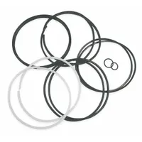 PARKER Accumulator Repair Kit: 4WB47/4WB49 (MPN RK0300K000GRG)