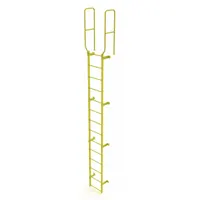 TRI-ARC Ladder,Walk-Thru Fixed,Steel,14-Rung: 17 ft Overall Ht, 28 in Overall Wd, Steel, 14 Rungs (MPN WLFS0214-Y)