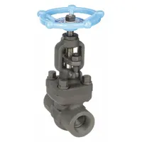 SHARPE Globe Valve: For Steam Media, Carbon Steel, Z-Body, 1 in Pipe Size, FNPT x FNPT, Female, NPT (MPN 4371006390)
