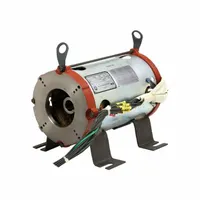 U.S. MOTORS Pump Motor: 160ZBS Frame Size, Rigid Base, Totally Enclosed Non-Ventilated, 20 hp (MPN EZ30S1GZ)