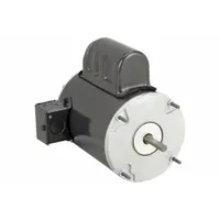 DAYTON Motor: Motor