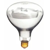 SHAT-R-SHIELD Incandescent Bulb: Incandescent, BR40, Medium Screw (E26), 125 W Watt, 2700K, Clear (MPN 125BR40/1)