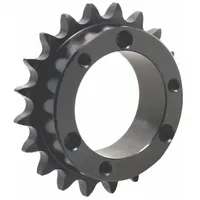 TRITAN Bushed Roller Chain Sprocket: For 100 Chain, 20 Teeth, 7.997 in Pitch Dia, Steel (MPN 100E20H)