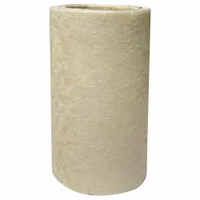 PARKER Coalescing Filter Element: Coalescing, 0.01 micron (MPN 2/100-12-BX)
