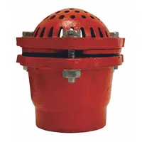 DIXON VALVE & COUPLING Foot Valve: Cast Iron, 6 in Pipe Size, Pumps, NPT (MPN DFVS60)