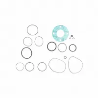 FILL-RITE Viton Seal Kit: Viton Seal Kit, Fill-Rite, (11) O-Rings/(2) Square Seals/Valve Stem (MPN SK30VIT-V13)