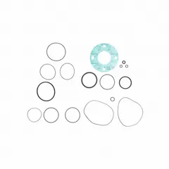 Seal kit for FILL-RITE pumps, containing 11 O-rings, 2 square seals, and a valve stem. Constructed from Viton for chemical resistance. Used for replacing worn seals in fuel transfer pumps during maintenance or repair.
