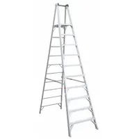 This 10 ft aluminum platform stepladder has a 300 lb load capacity and weighs 55 lb. It includes a guard rail for safety. Suitable for maintenance, construction, and warehouse tasks requiring a stable elevated work surface