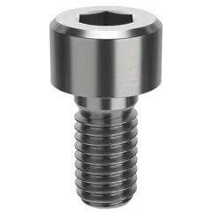 Metric standard socket head cap screw with M5 x 0.80 thread, 10 mm length, right-hand thread, and 4 mm drive size. Made from 316 stainless steel with plain finish and H5 tolerance. Used for fastening components in machinery, equipment, and structural assemblies requiring corrosion resistance.