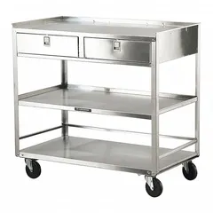 This mobile stand is constructed of stainless steel with a silver cabinet and drawer. It is equipped with four swivel casters for maneuverability. Suitable for use in healthcare, laboratory, and cleanroom environments where corrosion resistance is required.