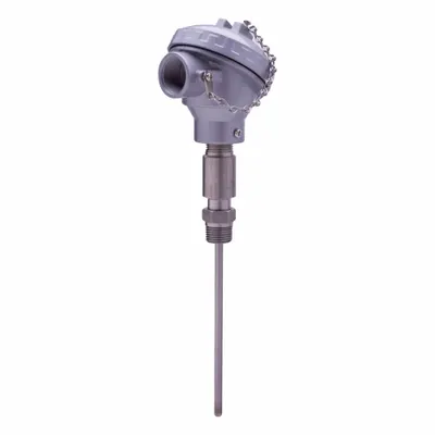 TEL-TRU NPAA3209A101D03A1 Threaded RTD with Conduit Connection - Threaded RTDs with Conduit Connection