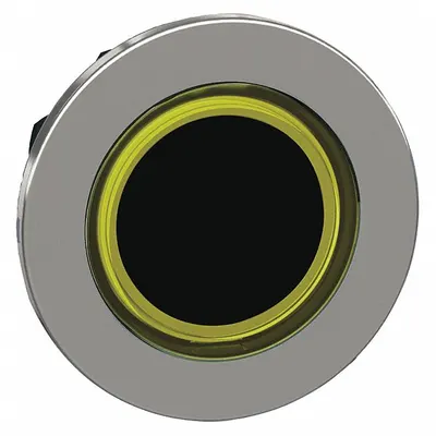SCHNEIDER Flush Push Button: 30 mm Mounting Size, Metallic - Illuminated Flush-Mount Push-Button Operators