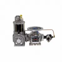 Positive Displacement Flowmeter,1 inSz (MPN TS10AF83AUGXXX9N)