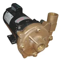 Centrifugal Pump: 1 hp, 115/230V AC, 100 ft Max Head, 1 1/4 in, 1 in Intake and Disch