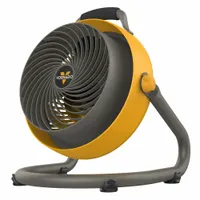 VORNADO Circulating Fan: 10 3/16 in Blade Dia, Non-Oscillating, 3 Speeds, 17 1/2 in Ht, 16 1/8 in Wd (MPN CR1-0089-16BB)